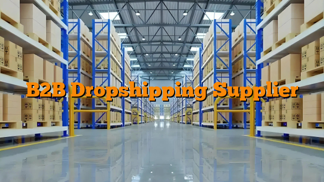 B2B Dropshipping Supplier