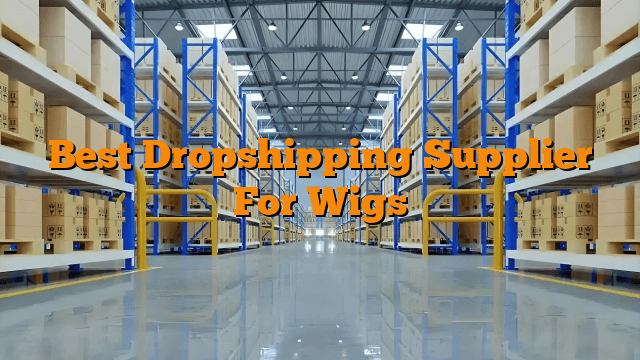 Best Dropshipping Supplier For Wigs