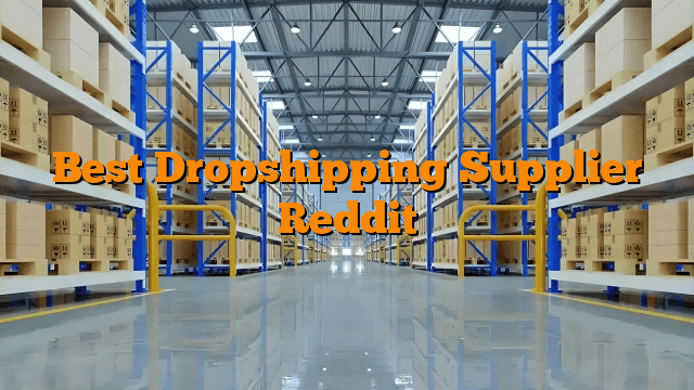 Best Dropshipping Supplier Reddit