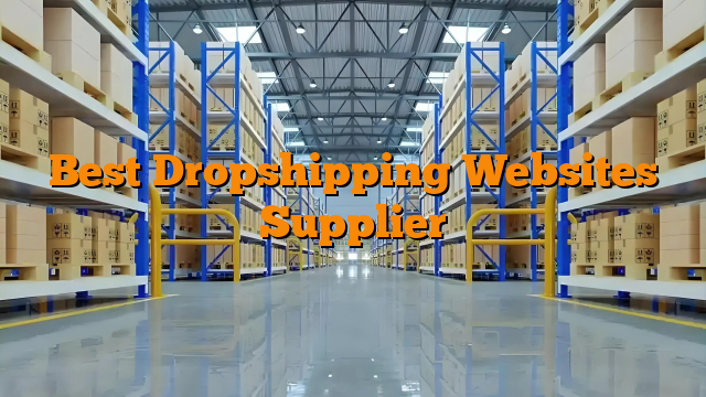 Best Dropshipping Websites Supplier
