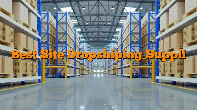 Best Site Dropshiping Suppli