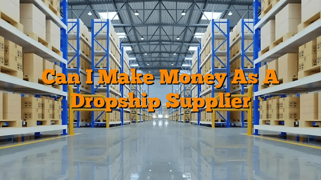 Can I Make Money As A Dropship Supplier