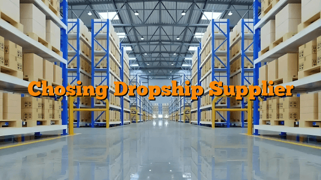 Chosing Dropship Supplier