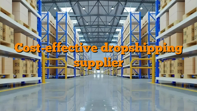 Cost-effective dropshipping supplier