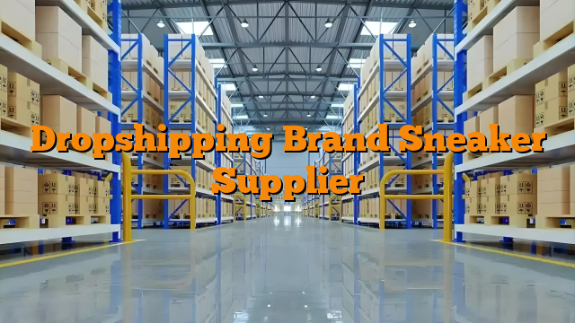 Dropshipping Brand Sneaker Supplier