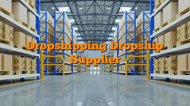 Dropshipping Dropship Supplier
