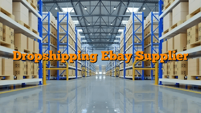 Dropshipping Ebay Supplier