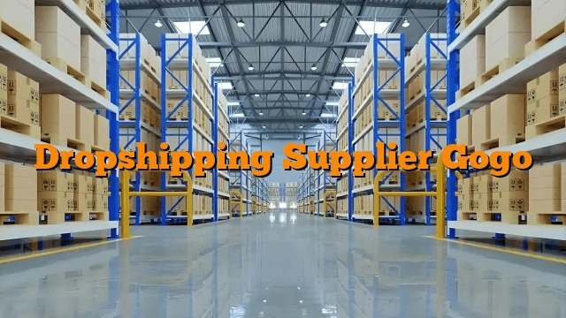 Dropshipping Supplier Gogo