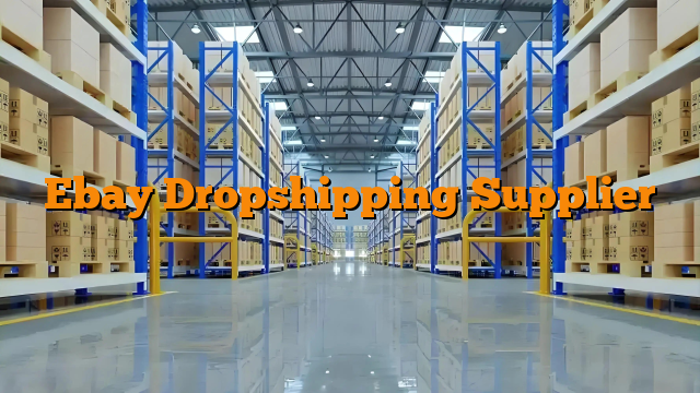 Ebay Dropshipping Supplier
