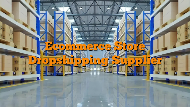 Ecommerce Store Dropshipping Supplier