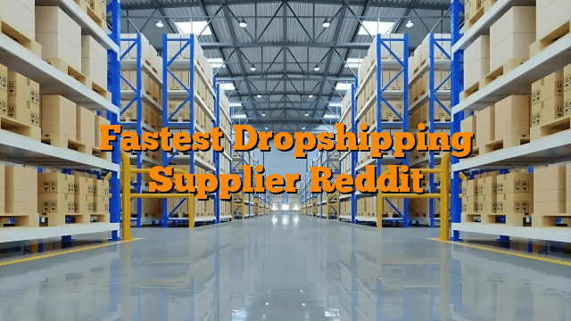 Fastest Dropshipping Supplier Reddit