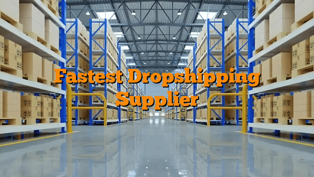 Fastest Dropshipping Supplier