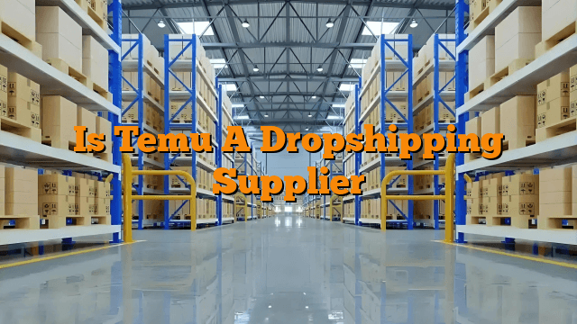 Is Temu A Dropshipping Supplier