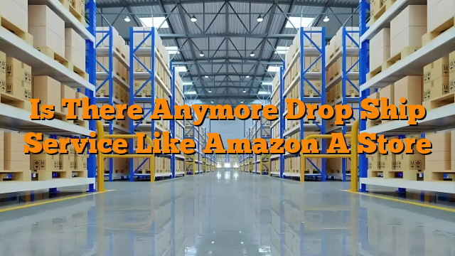 Is There Anymore Drop Ship Service Like Amazon A Store