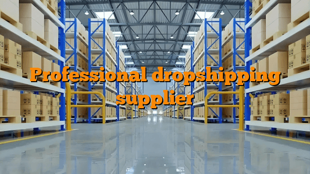 Professional dropshipping supplier