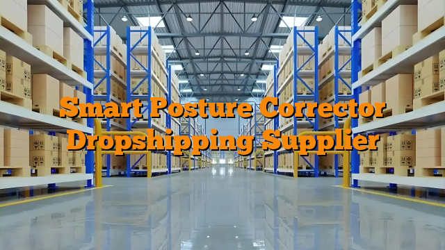 Smart Posture Corrector Dropshipping Supplier