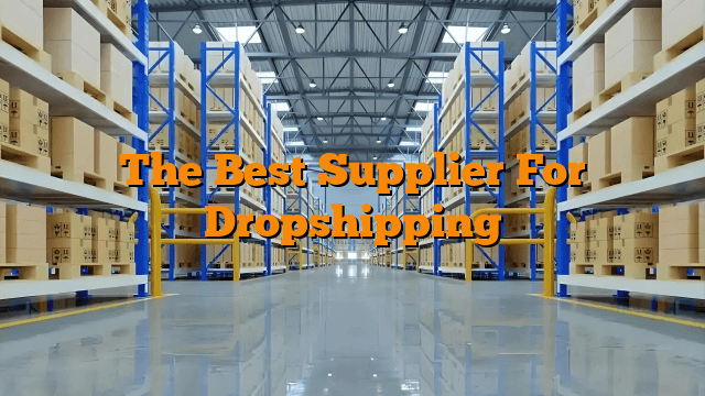 The Best Supplier For Dropshipping