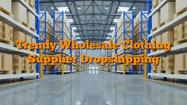 Trendy Wholesale Clothing Supplier Dropshipping