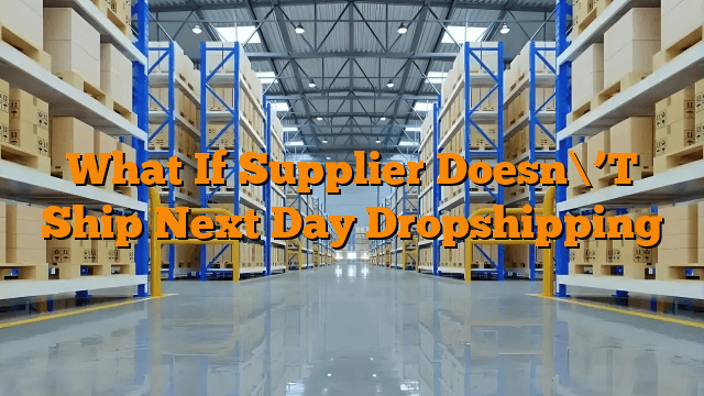 What If Supplier Doesn\’T Ship Next Day Dropshipping