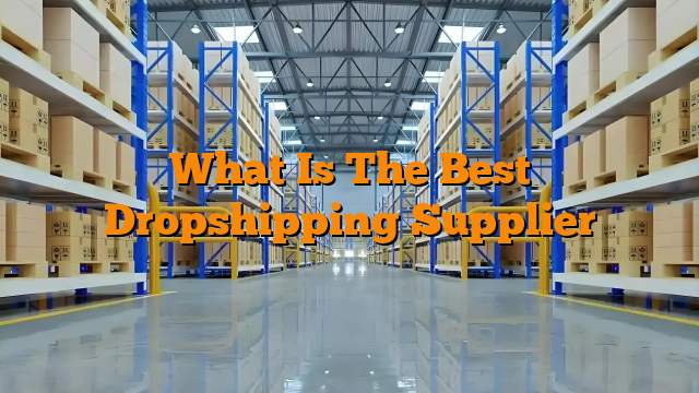 What Is The Best Dropshipping Supplier