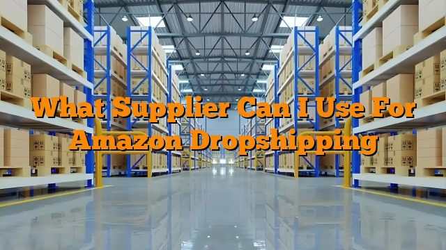 What Supplier Can I Use For Amazon Dropshipping