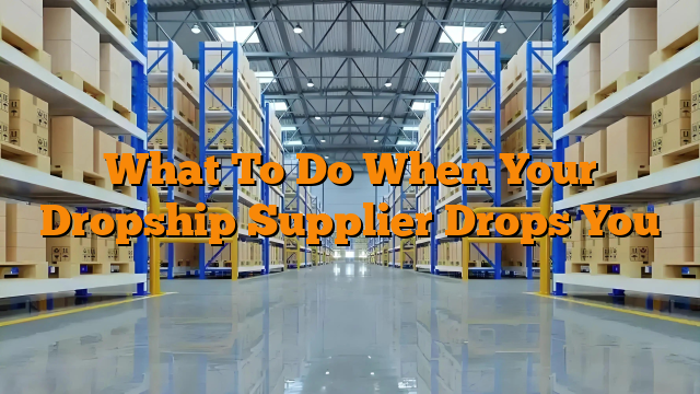 What To Do When Your Dropship Supplier Drops You