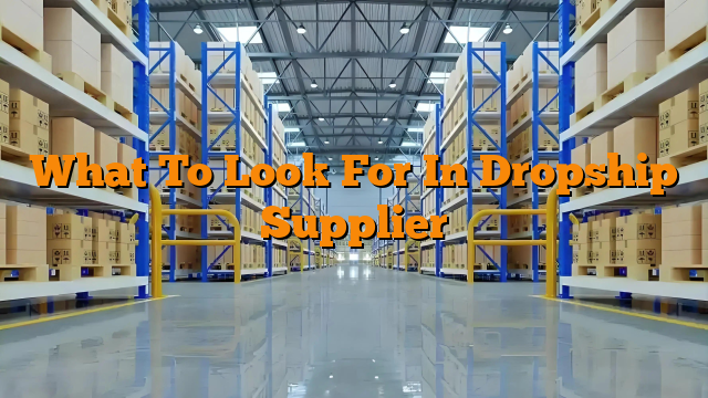 What To Look For In Dropship Supplier