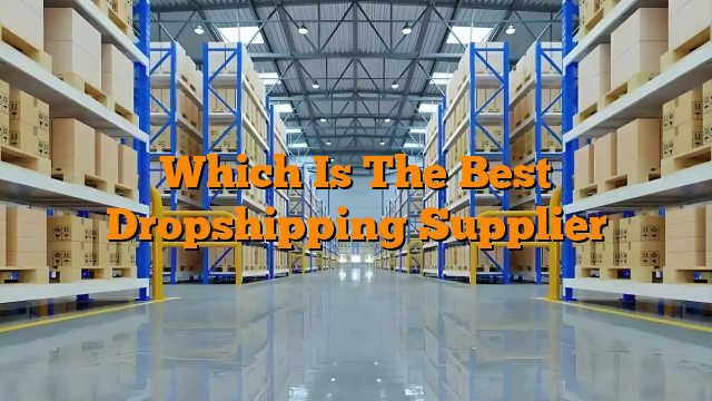 Which Is The Best Dropshipping Supplier