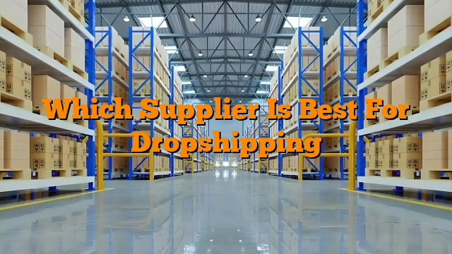 Which Supplier Is Best For Dropshipping