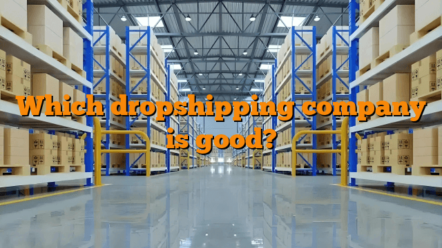 Which dropshipping company is good?