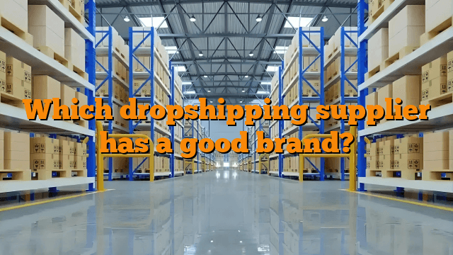 Which dropshipping supplier has a good brand?