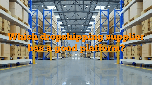 Which dropshipping supplier has a good platform?