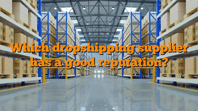 Which dropshipping supplier has a good reputation?