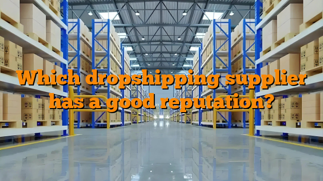 Which dropshipping supplier has a good reputation?