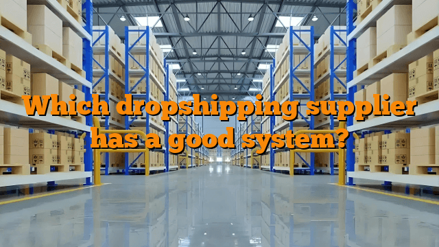 Which dropshipping supplier has a good system?