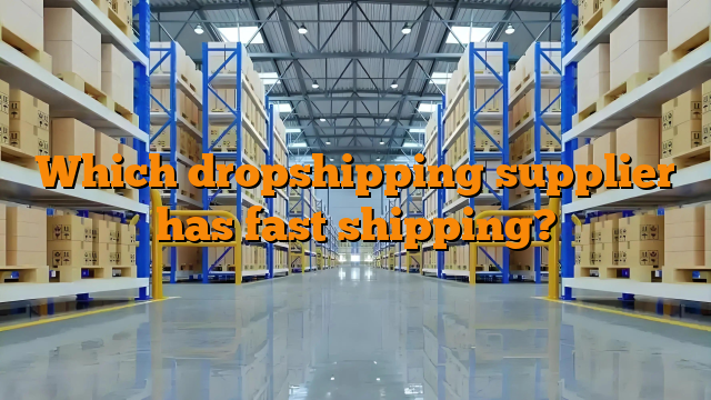 Which dropshipping supplier has fast shipping?