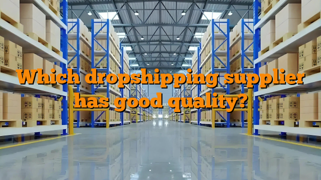 Which dropshipping supplier has good quality?