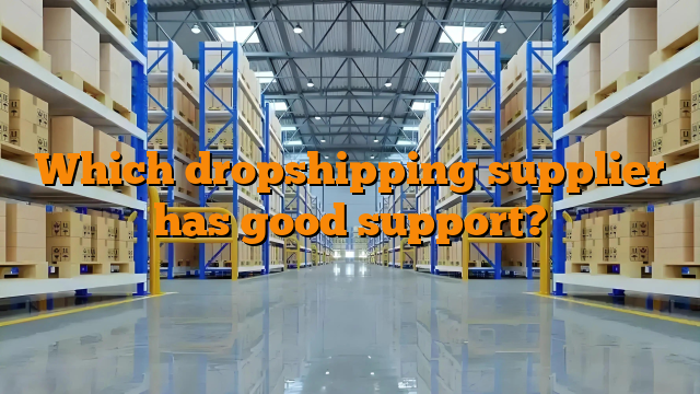 Which dropshipping supplier has good support?