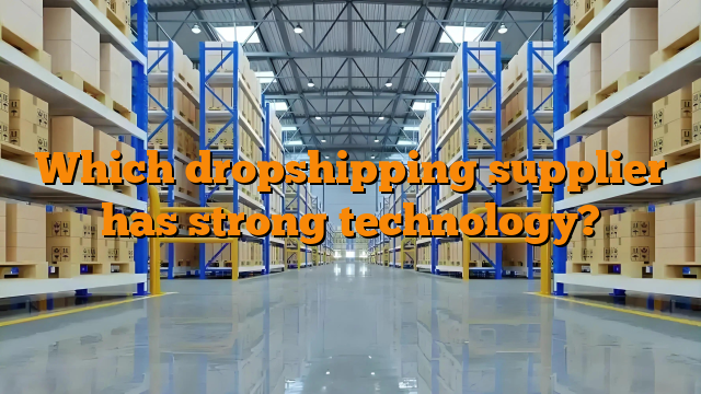 Which dropshipping supplier has strong technology?