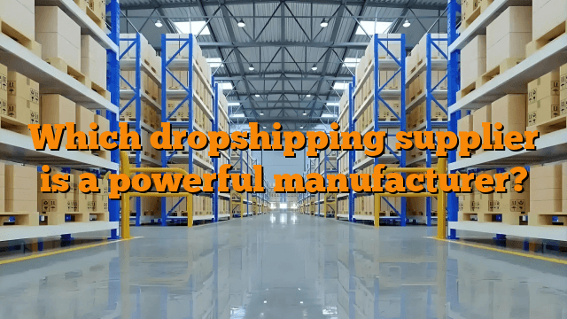 Which dropshipping supplier is a powerful manufacturer?