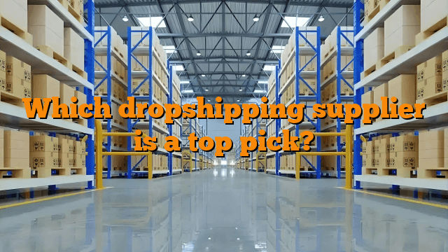 Which dropshipping supplier is a top pick?