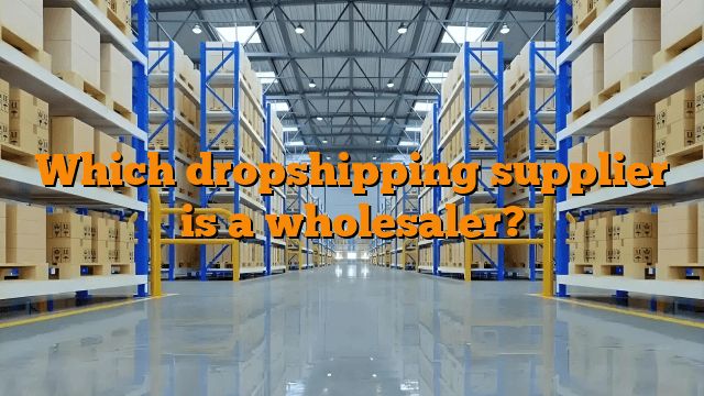 Which dropshipping supplier is a wholesaler?