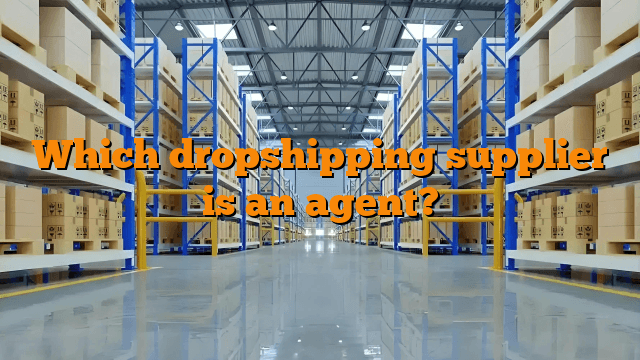 Which dropshipping supplier is an agent?