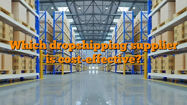 Which dropshipping supplier is cost-effective?