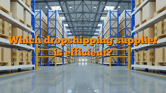 Which dropshipping supplier is efficient?