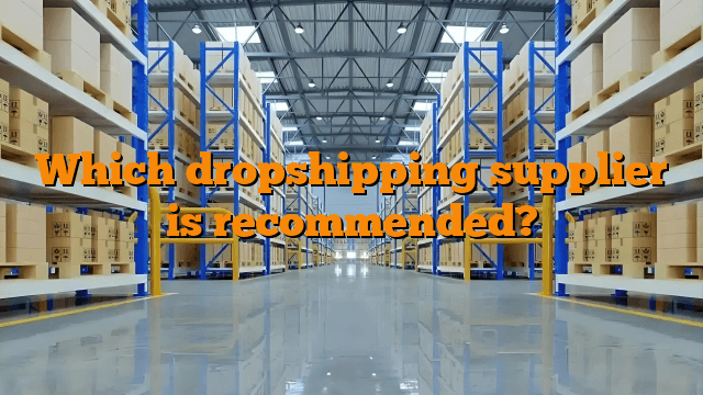 Which dropshipping supplier is recommended?