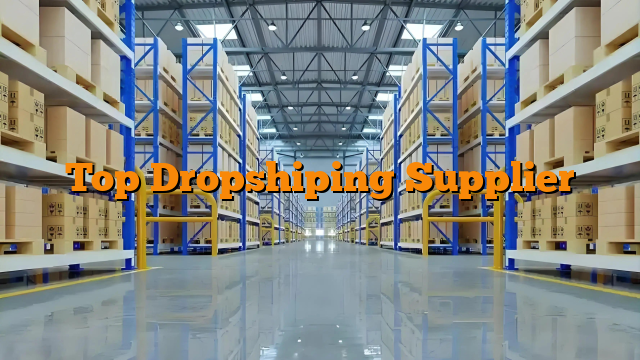 Top Dropshiping Supplier