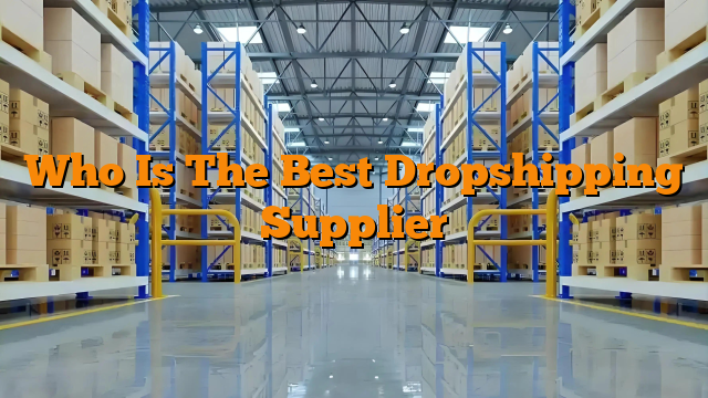 Who Is The Best Dropshipping Supplier