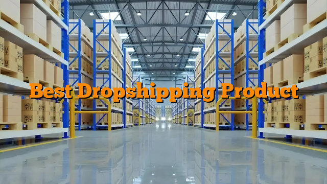 Best Dropshipping Product