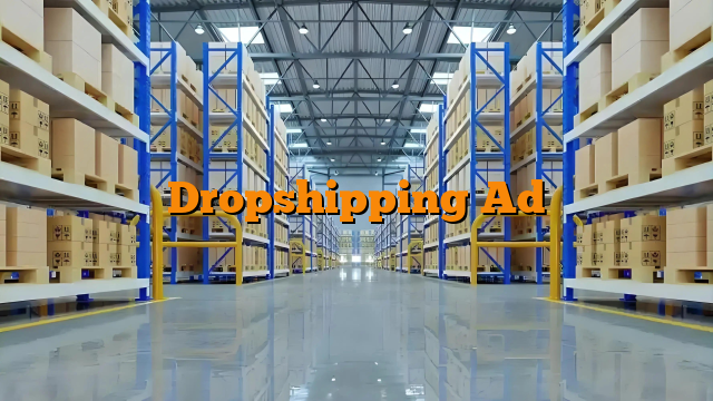 Dropshipping Ad
